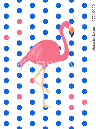 火烈鳥在夏天矢量圖 火烈鳥在夏天矢量圖 67210000