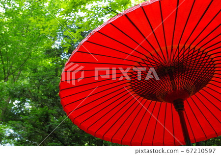 Umbrella 67210597