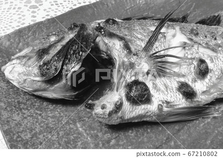 It's not good looking but it is home-cooked and rustic "Akashi-grilled salt-grilled" It's not good looking but it is home-cooked and rustic "Akashi-grilled salt-grilled" 67210802