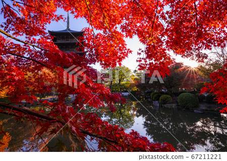 The wooden tower of To-ji Temple in Kyoto at autumn. The wooden tower of To-ji Temple in Kyoto at autumn. 67211221