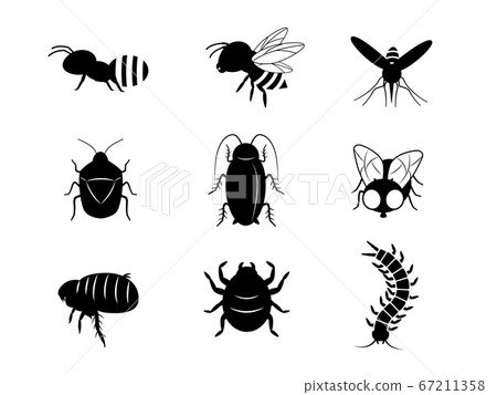 Illustration set of pest silhouettes 67211358