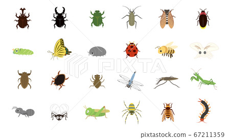 Cute insect illustration set 67211359