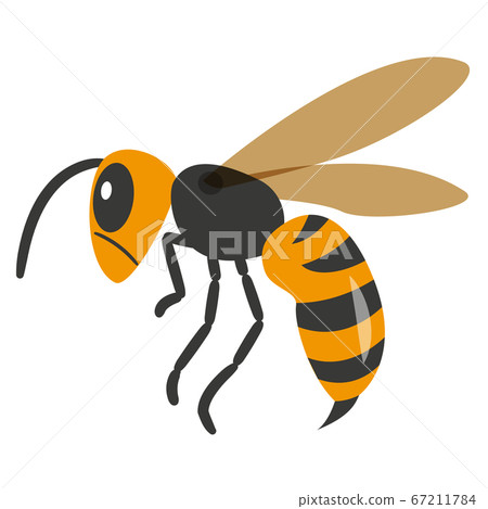 Hornet illustration 67211784