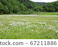 Watazsege of Tanohara Mogara 67211886