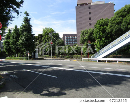 明治坡的分支 67212235