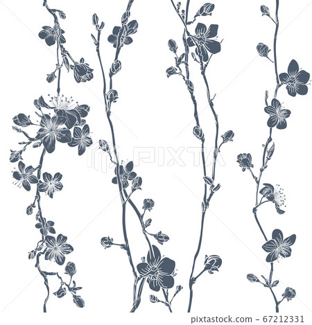 Blossom Japanese Sakura Cherry Flower Pattern Blossom Japanese Sakura Cherry Flower Pattern 67212331