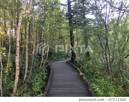 Wooden road on the shore of Lake Himenuma in Rishiri Island 67213208