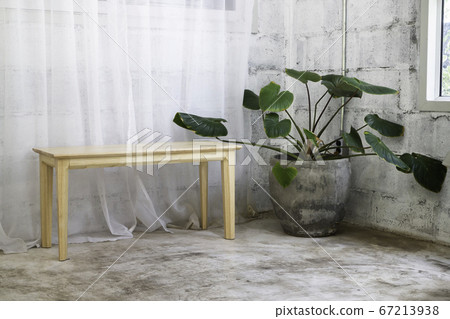 Interior green leaves plant pot 67213938