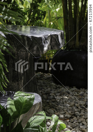 Beautiful green leaves plant in resort garden 67213994