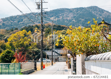 Japanese countryside village alley at spring in Mie, Japan 67214481