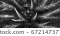 The head of a dead man from whose mouth grows tree 67214737