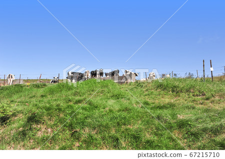 Shinshu Utsukushigahara Farm 67215710
