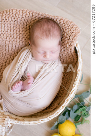 Cute little baby  with a toy bunny lies in a wicker basket decorated with greens and lemons in a beige knitted blanket. Summer mood. Happy healthy childhood 67217299