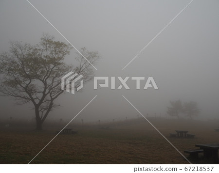 夢幻般的樹木和桌子椅子漂浮在霧中 夢幻般的樹木和桌子椅子漂浮在霧中 67218537