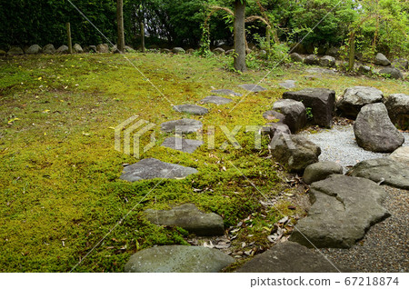 鳥取縣淀屋古蓮園 鳥取縣淀屋古蓮園 67218874