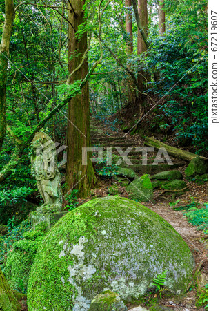 Fresh green Mt. Shiga Mt. Yuzan Kannon [Jonan Ward, Fukuoka City, Fukuoka Prefecture] 67219607