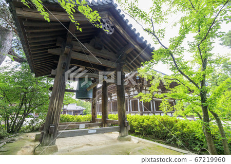 Toshodaiji lotus flowers in the grounds 67219960