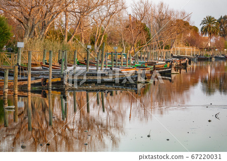 Albufera nature reserve with picturesque fishing boats in Catarroja 67220031