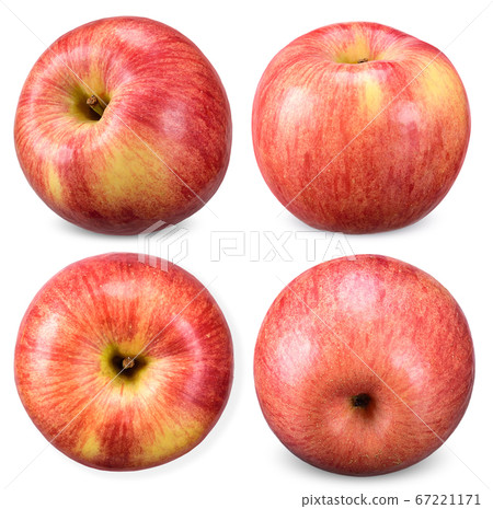 red apple isolated on white clipping path red apple isolated on white clipping path 67221171