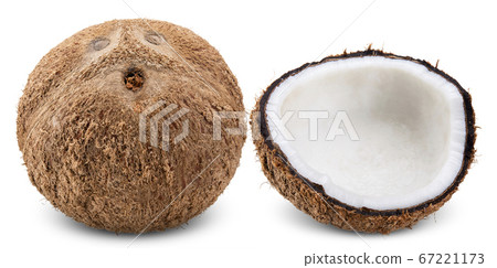 coconut isolated on white clipping path coconut isolated on white clipping path 67221173