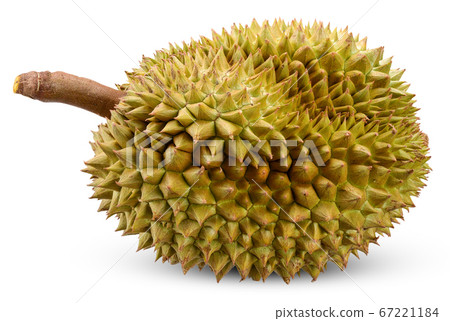 Durian isolated on white clipping path 67221184