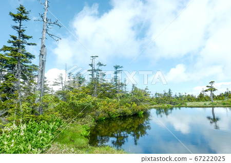 Yake frame summit, spring Kindergarten pond Yake frame summit, spring Kindergarten pond 67222025