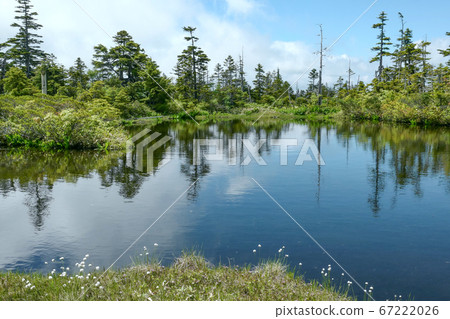 Yake frame summit, spring Kindergarten pond Yake frame summit, spring Kindergarten pond 67222026