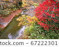 Autumn in the Asogawa Stream 67222301