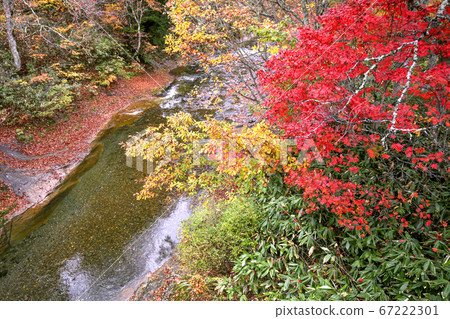Autumn in the Asogawa Stream Autumn in the Asogawa Stream 67222301