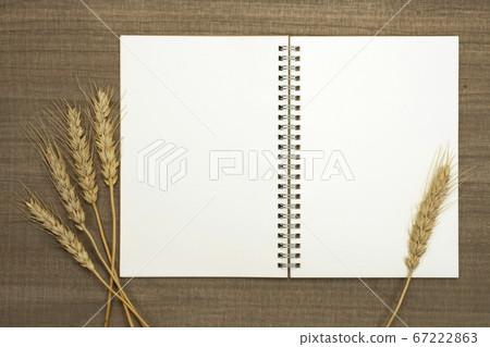 Sketchbook and wheat ears on wood table 67222863