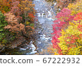 Autumn in the Asogawa Stream 67222932
