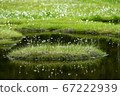 Floating island of Shichihachi 67222939