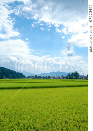藍天和田園風光南魚沼 藍天和田園風光南魚沼 67223463