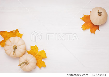 Small white pumpkins and autumn leaves Small white pumpkins and autumn leaves 67223481