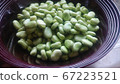 Pea 67223521