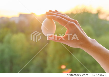 Hand holding one white egg, conceptual photo background sunset 67223672