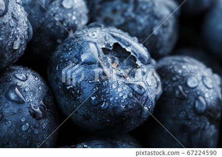 Blueberries close-up in full screen with dewdrops. Blueberries close-up in full screen with dewdrops. 67224590