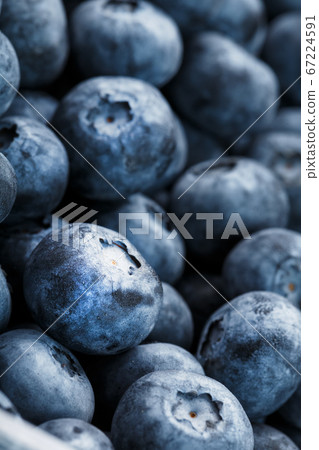 Juicy and ripe Blueberries close - up in full screen with dew drops. 67224591