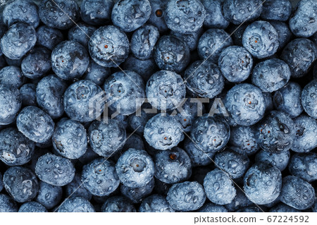 Ripe blueberries in the form of a full-screen texture with drops of dew. Ripe blueberries in the form of a full-screen texture with drops of dew. 67224592