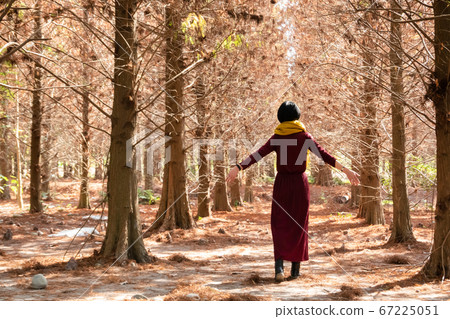 mature woman walk in the forest mature woman walk in the forest 67225051