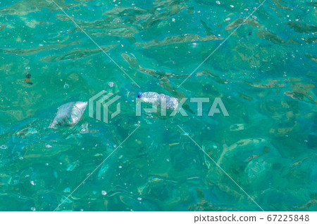 Garbage, trash, plastic bottle, packages on the sea ocean surface 67225848