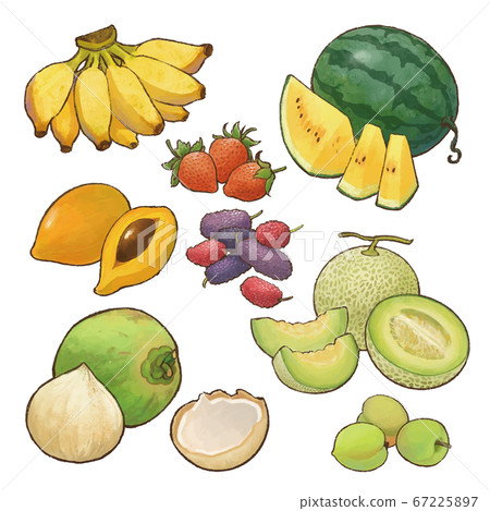 Watercolor style taiwan seasonal fruits 67225897