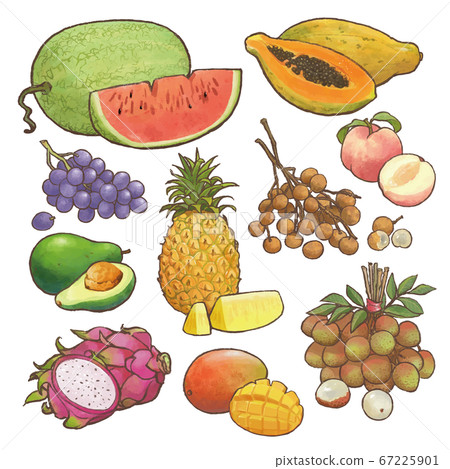 Watercolor style taiwan seasonal fruits 67225901