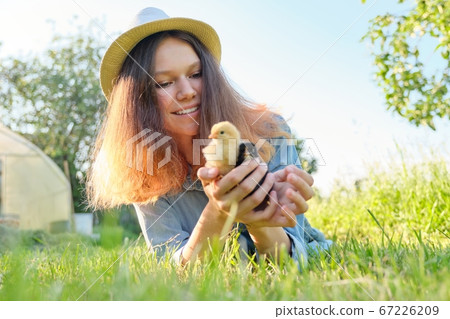 Portrait of beautiful girl on farm with two newborn chicks in hand Portrait of beautiful girl on farm with two newborn chicks in hand 67226209