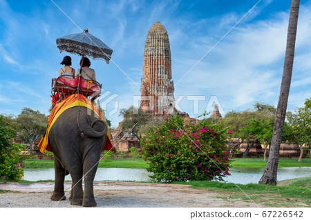 The Elephant for tourist service at Ayutthaya 67226542