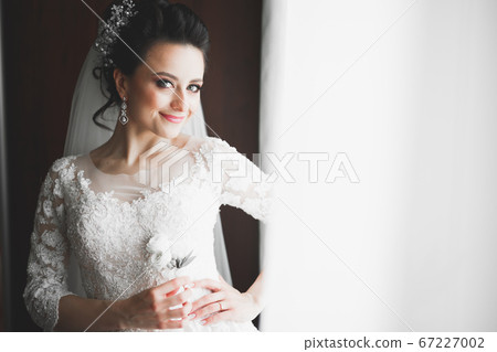 Portrait of beautiful bride with fashion veil at wedding morning 67227002