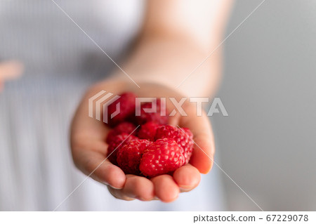 Healthy, organic food and nutrition concept. eating, dieting, vegetarian food concept. Woman hands holding fresh red raspberries on grey background. Healthy, organic food and nutrition concept. eating, dieting, vegetarian food concept. Woman hands holding fresh red raspberries on grey background. 67229078
