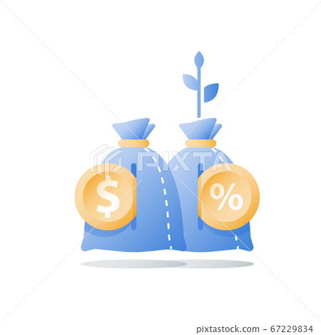 Money_Bag_Invest_165.eps 67229834