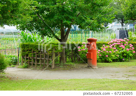 Postbox and hydrangea flowers in urban agricultural park in the rainy season valley 67232005