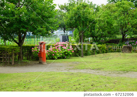 Postbox and hydrangea flowers in urban agricultural park in the rainy season valley 67232006